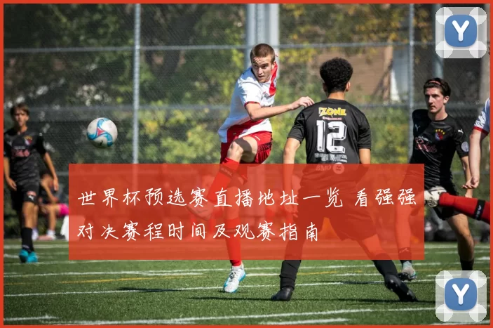 世界杯预选赛直播地址一览 看强强对决赛程时间及观赛指南